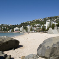 Icon Oriental Bay Dec25