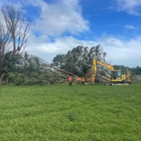 Whats App Image 2025 11 03 at 6 02 31 PM