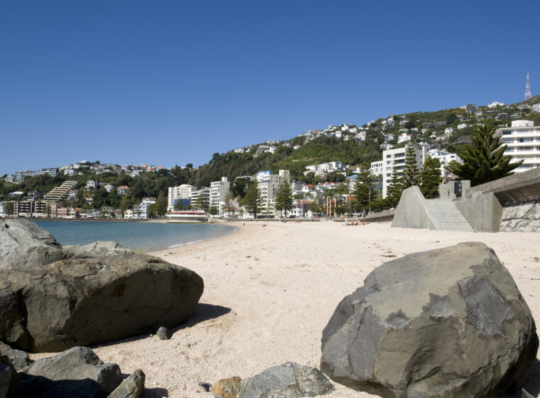 Icon Oriental Bay Dec25