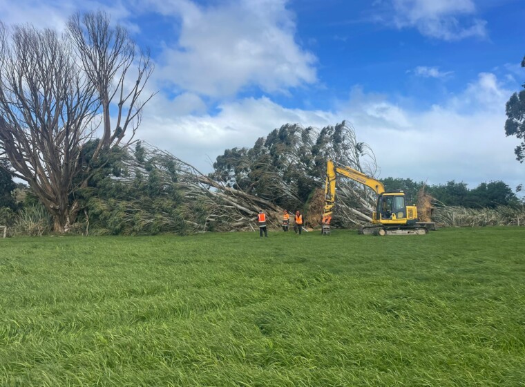 Whats App Image 2025 11 03 at 6 02 31 PM