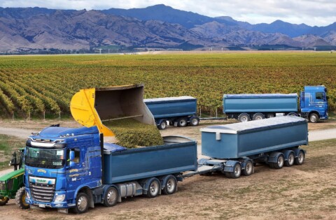 Harvest June25