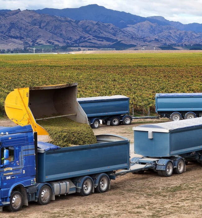 Harvest June25